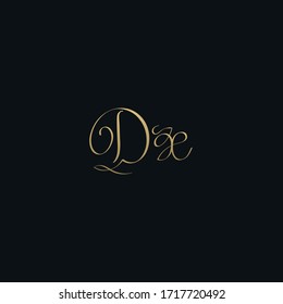 Luxurious modern DX initial based letter icon logo