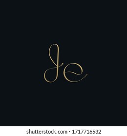 Luxurious modern JE initial based letter icon logo