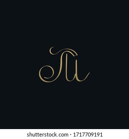 Luxurious modern M initial based letter icon logo