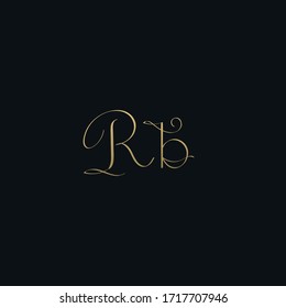 Luxurious modern RB initial based letter icon logo