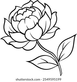  Luxurious Peony Line Art Vector