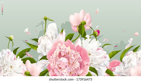 Luxurious pink and white peonies background with leaves and buds