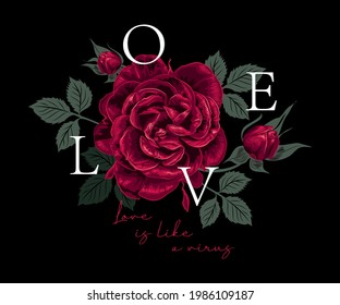 A luxurious red rose on a black background. Typography and slogan with the inscription "Love" and an illustration of a flower