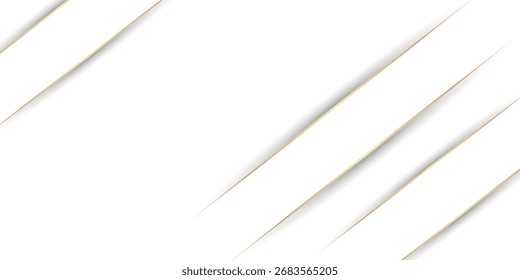 Luxurious white abstract background with elegant and shiny gold lines and shadows. Premium vector illustration. VOL. 4