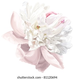 Luxurious white peony flower painted in pastel colors