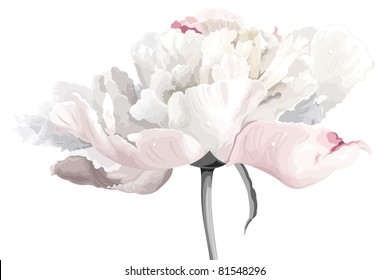 Luxurious white peony flower painted in pastel colors