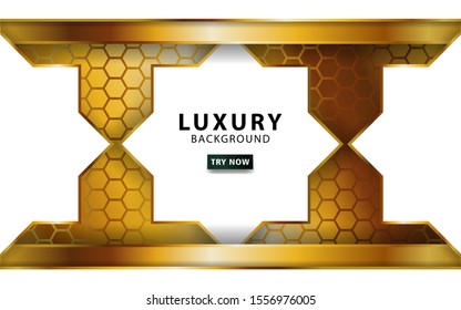 luxury abstract gold vector background with golden line.Overlap layers with paper effect. digital template. Realistic light effect on textured hexagon background.vector illustration.