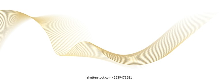 Luxury abstract gold wavy line pattern (guilloche curves) with copy space. Elegant golden color smooth gradient on white background. Premium vector striped texture for Christmas or music banner, card.