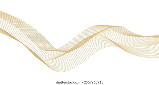 Luxury abstract gold wavy line pattern (guilloche curves) with copy space. Elegant golden color smooth gradient on white background bector illustration eps10