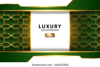 luxury abstract green vector background with gold line and golden rays. Overlap layers with paper effect. digital template. Realistic light effect on textured green background.vector illustration.