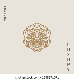 luxury abstract logo, this logo is inspired by diamond stones and natural leaves, and forms a flower.