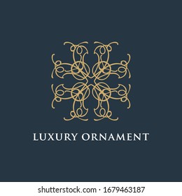 the Luxury abstract ornament vector