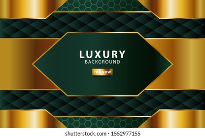 luxury abstract premium green vector background with gold line.Overlap layers with paper effect. digital template. Realistic light effect on textured hexagon background.vector illustration.