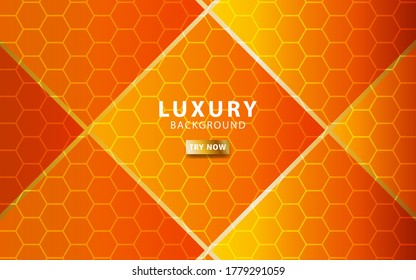 luxury abstract premium orange vector background banner with gold line.Overlap layers with paper effect.Realistic light effect on hexagon textured background.vector illustration.