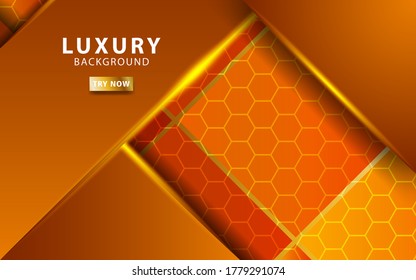 luxury abstract premium orange vector background banner with gold line.Overlap layers with paper effect.Realistic light effect on hexagon textured background.vector illustration.