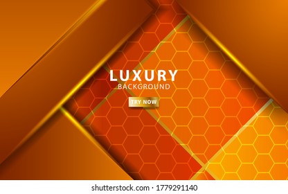 luxury abstract premium orange vector background banner with gold line.Overlap layers with paper effect.Realistic light effect on hexagon textured background.vector illustration.