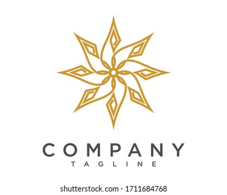 luxury abstract spiky flower logo