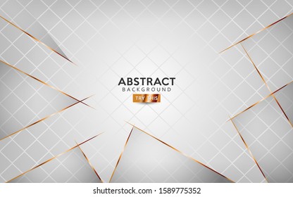 luxury abstract white background combine with golden line. Modern background template design