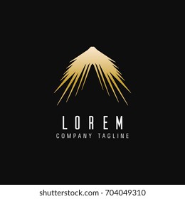 luxury abstract wings logo. technology design concept template