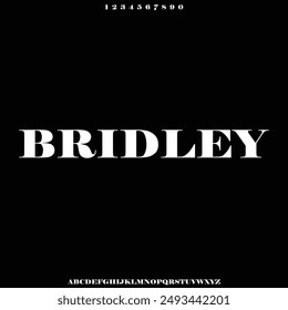 the luxury alphabet font vector typeface