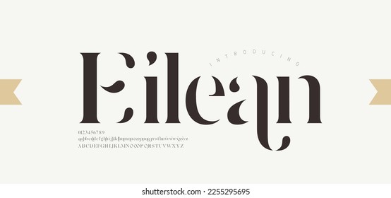 Luxury alphabet letters font. Typography elegant wedding classic lettering serif fonts decorative vintage retro. vector illustration