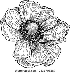 luxury anemone flowers and logo. Trendy botanical elements. Hand drawn line. Wedding elegant wildflowers for invitation save the date card. Vector trendy greenery