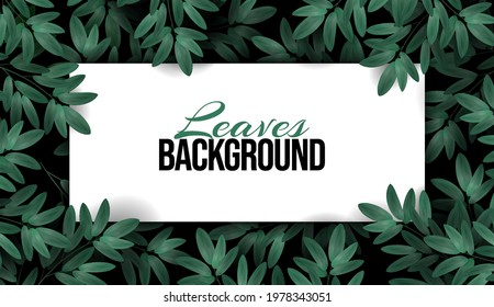 Luxury banner background and place for text. Overgrown tree branches with fresh green leaves. Spring or summer nature. Plant branch on a dark background. Promotional template. Abstract Design Element.