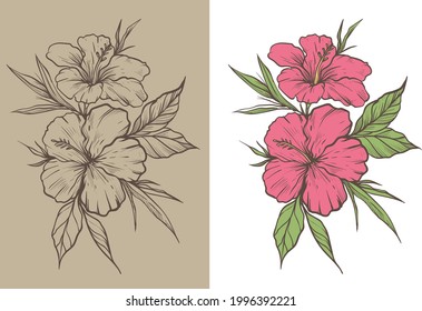 luxury beautiful hibiscus flower rustic sketch for print