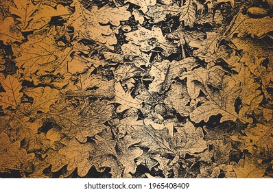 Luxury black golden metal gradient background with distressed closeup oak leaf texture with streaks and acorns. Vector illustration