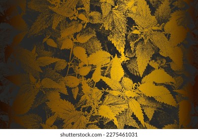 Luxury black golden metal gradient background with distressed closeup mint leaf texture with streaks. Vector illustration