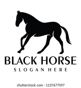 Luxury Black Horse logo Vector