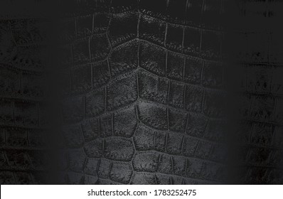 Luxury black metal gradient background with distressed crocodile, snake, alligator skin leather texture. Vector illustration