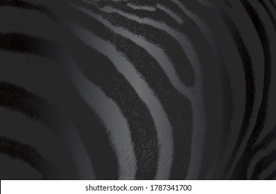 Luxury black metal gradient background with distressed natural, genuine animal fur texture. Vector illustration