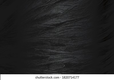 Luxury black metal gradient background with distressed birds feather texture. Vector illustration