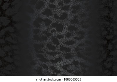 Fondo de gradiente de metal negro de lujo con textura de piel de leopardo natural angustiada. Ilustración del vector