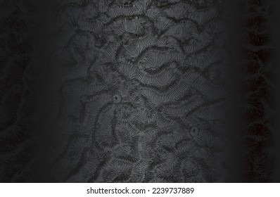 Luxurious Black Fur Texture