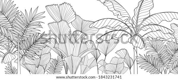 Luxury Black White Tropical Plant Background Stock Vector (Royalty Free ...