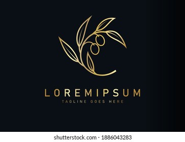 Luxury botanical olive logo design. Vector illustration of golden olive branch for brand. Vintage logo design vector line icon template