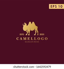 Luxury Camel Logo Design Vector Template WIth Gold Colour