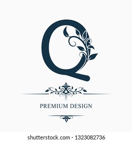 Luxury Capital Letter Q. Decorative Floral Monogram. Branch with Leaves. Calligraphic Logo Template. Graphic Emblem. Good for Design of Pages, Stickers, Signage, Labels, Cards. Vector illustration