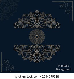 Luxury circular mandala background design vector