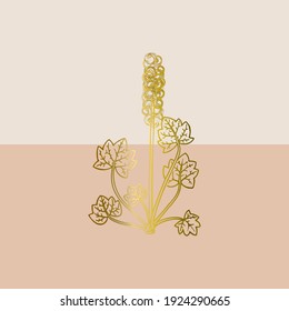 Luxury cover design template. Spring gold flower with leaves collected in a rosette. Flowery swirls  Design for packaging design, social media post, cover, banner, business cards. Vector illustration.