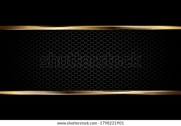 高級な暗い黒の背景に炭素テクスチャと金色の縁取り線 ベクターグラフィックイラスト のベクター画像素材 ロイヤリティフリー