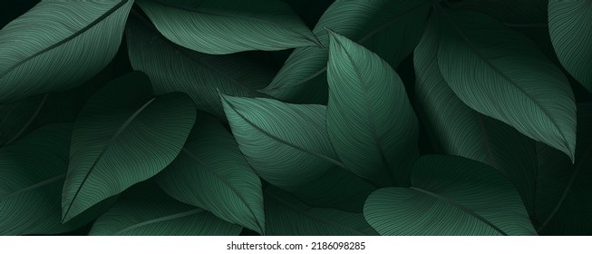 Lujoso fondo de arte verde oscuro con hojas tropicales. Banner botánico vectorial para diseño de impresión, decoración, papel pintado, diseño interior.