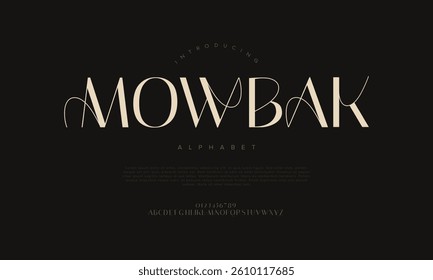 Luxury Decorative Serif Font Vector for Fashion Branding and High-End Design