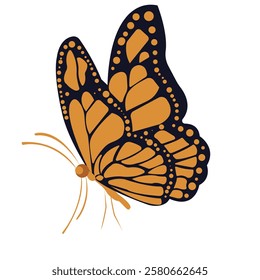 Luxury design butterfly vector image illustration