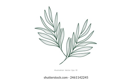 Luxury drawn floral leaves botanical gold line art set, Hand drawn leaves line Floral branch , luxury line art on white background, Vector illustration EPS 10