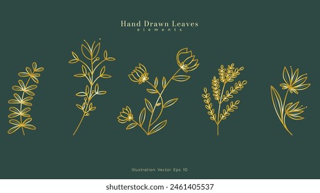 Luxury drawn floral leaves botanical gold line art set, Hand drawn leaves line Floral branch , luxury line art  on green luxury background, Vector illustration EPS 10