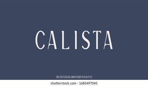 LUXURY ELEGANT FONT VECTOR ALPHABET SERIF TYPE