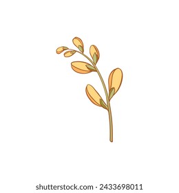 Luxury flower and logo colorful hand drawn. Trendy botanical element. Hand drawn line leave branch and blooming. Wedding elegant wildflower for invitation save the date card. Vector illustration on